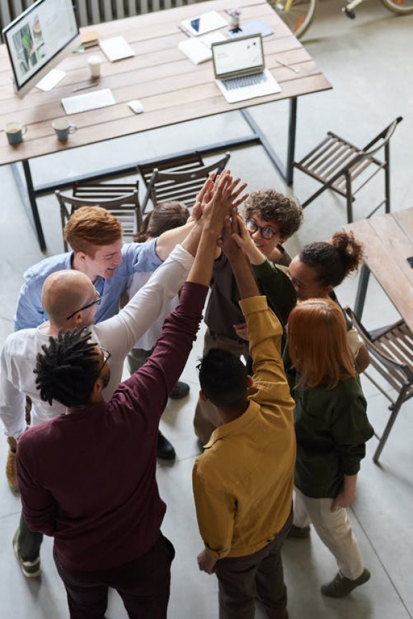 Importance of Diversity and Inclusion in the Workplace